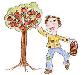 (Illustration Streuobstwiese)